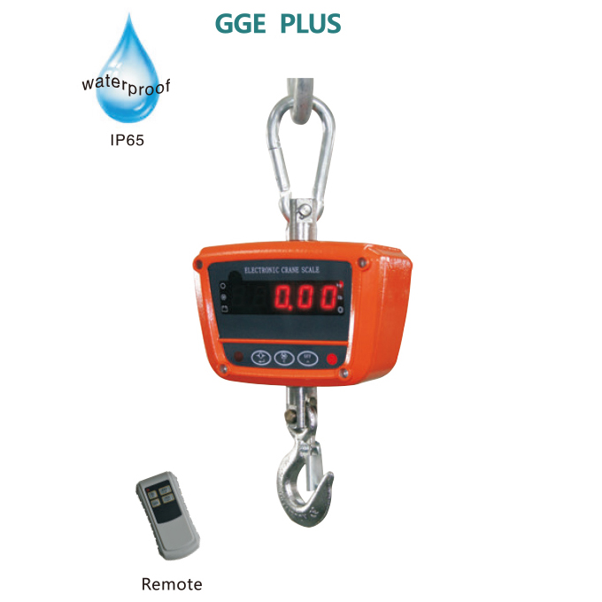 GGE Plus crane scale