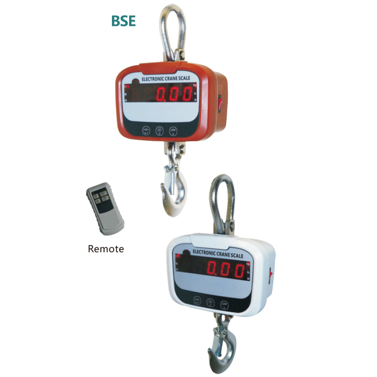 Detachable battery BSE crane scale