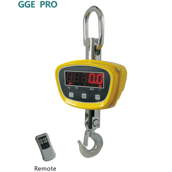 GGE Pro crane scale