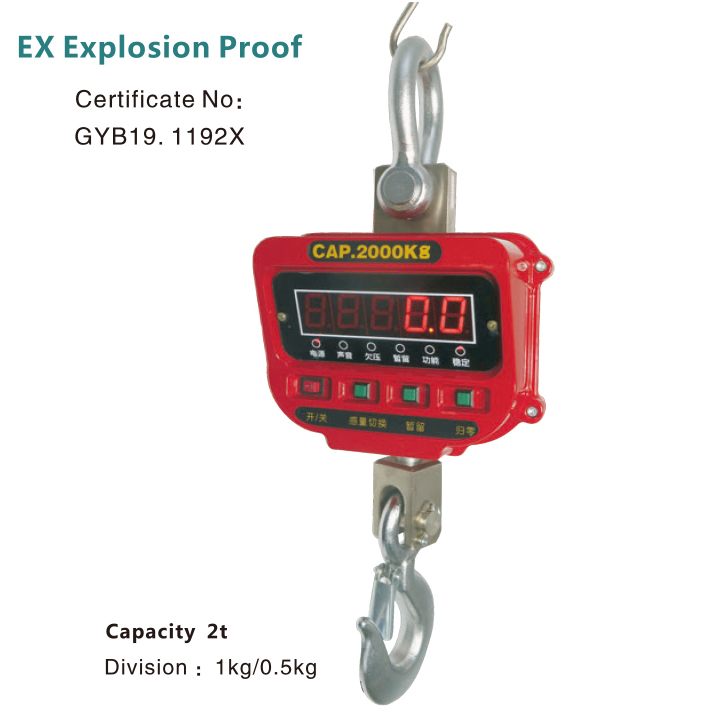 Anti-explosion crane scale